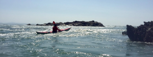 Sea Kayak Coach Training